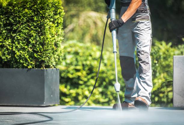Best Sidewalk and Walkway Cleaning  in Jackson, TN