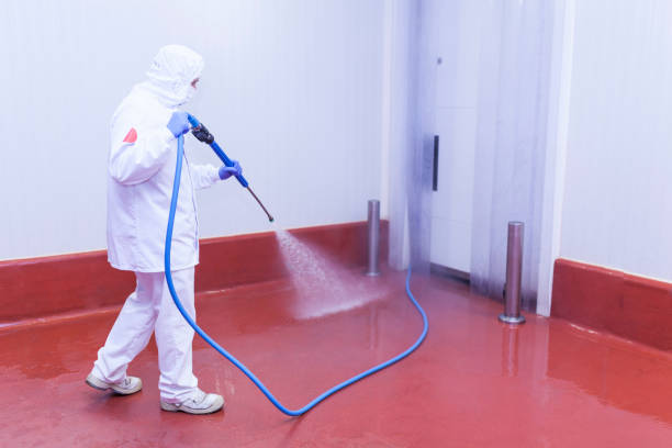 Best Roof Washing  in Jackson, TN